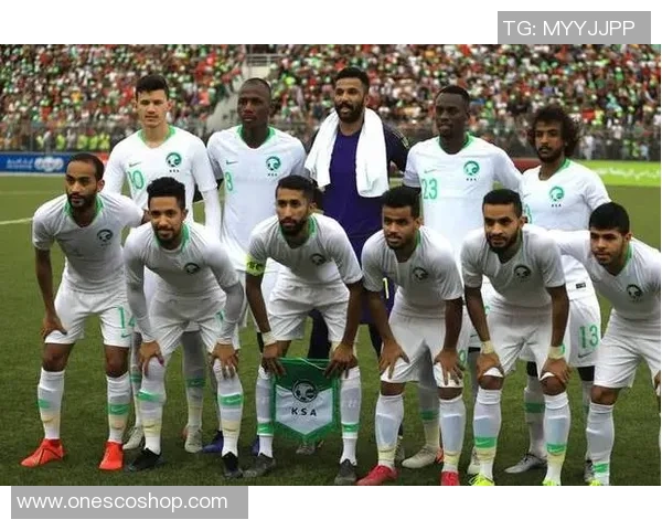 沙特阿拉伯与新加坡足球历史交锋记录分析与回顾