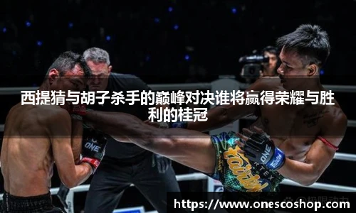 西提猜与胡子杀手的巅峰对决谁将赢得荣耀与胜利的桂冠
