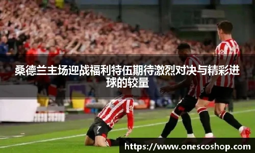 桑德兰主场迎战福利特伍期待激烈对决与精彩进球的较量
