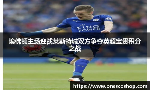 埃佛顿主场迎战莱斯特城双方争夺英超宝贵积分之战