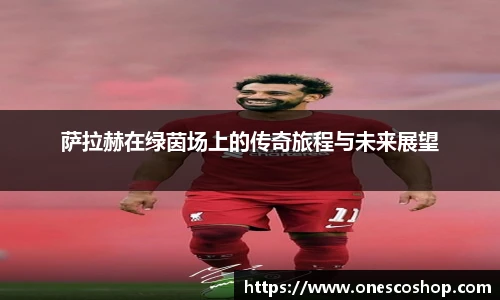 萨拉赫在绿茵场上的传奇旅程与未来展望